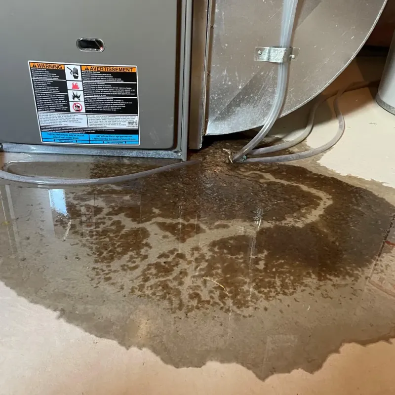 Appliance Leak Cleanup in Autauga County, AL